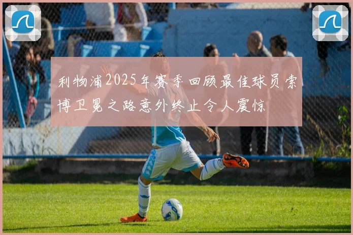 利物浦2025年赛季回顾最佳球员索博卫冕之路意外终止令人震惊