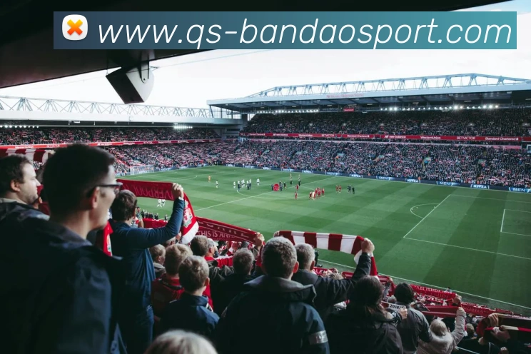 半岛足球体育服务体系